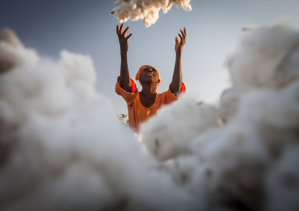 cotton farmer
